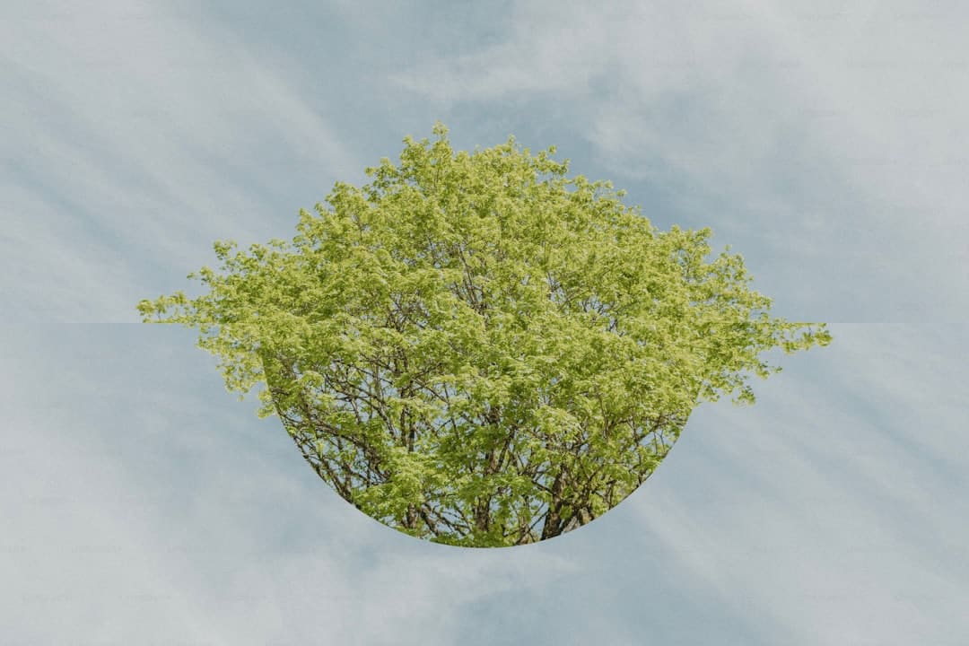 http://n.sinaimg.cn/news/transform/w600h400/20180314/zx1E-fysfzei9581472.jpg?zdy